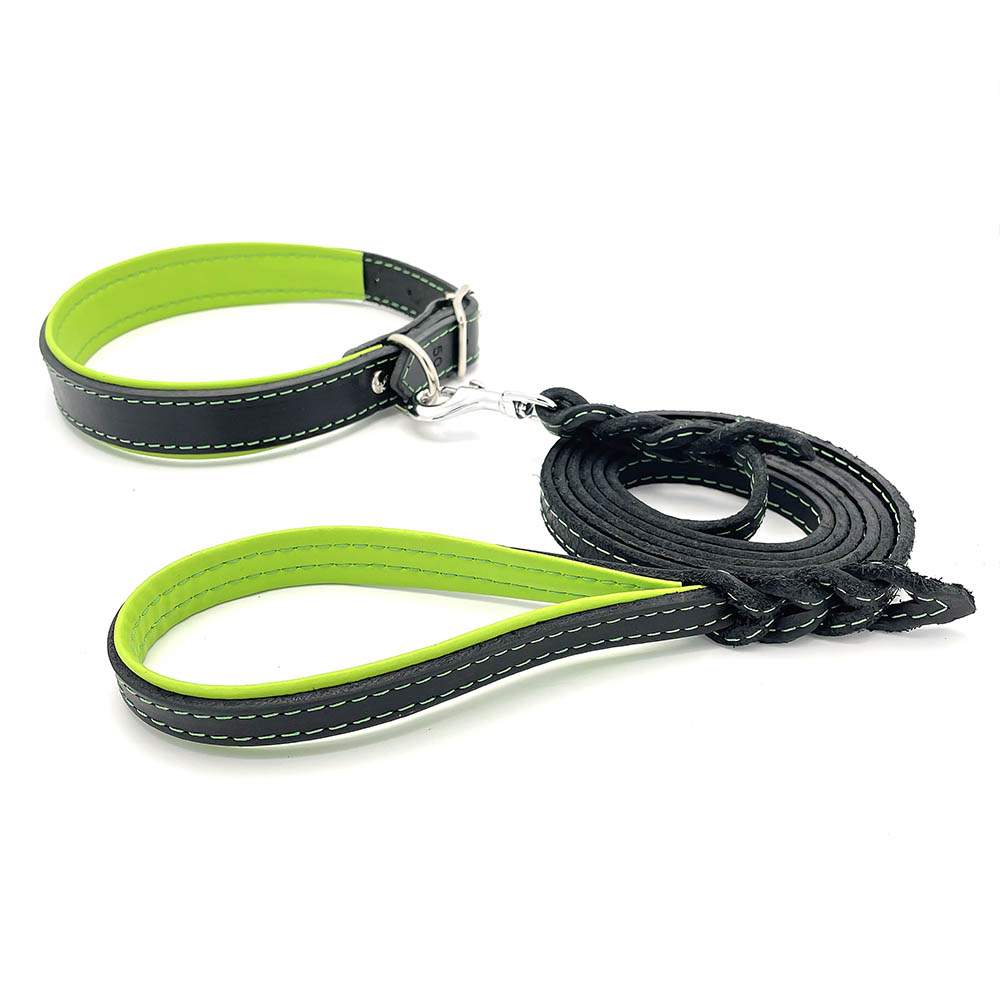 Alac leather collar and leash for small dog breed