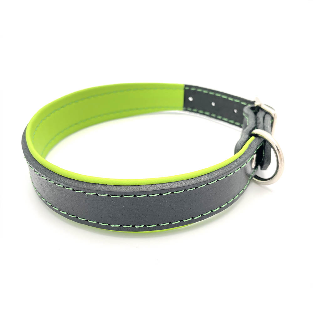Stylish dog collar in leather