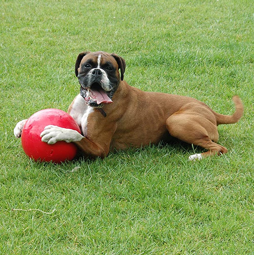 Boomer ball - 3