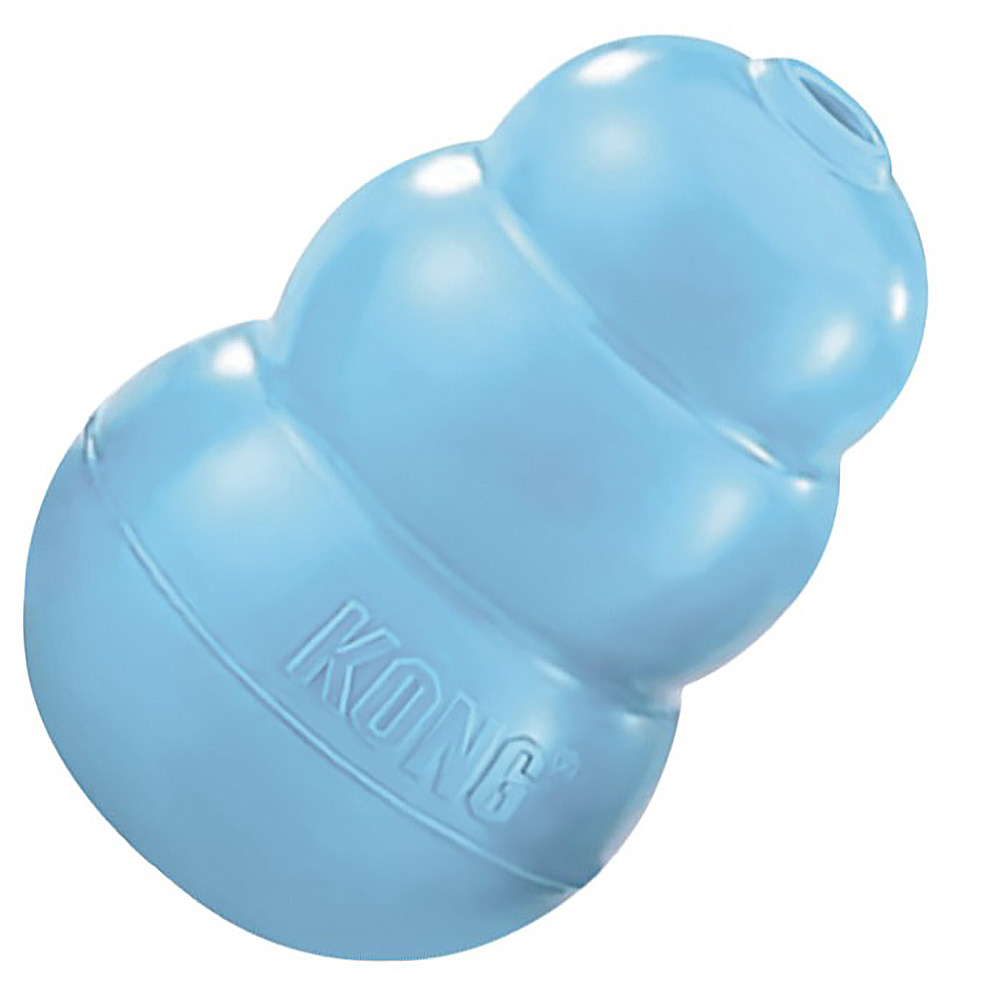 KONG Puppy - 5