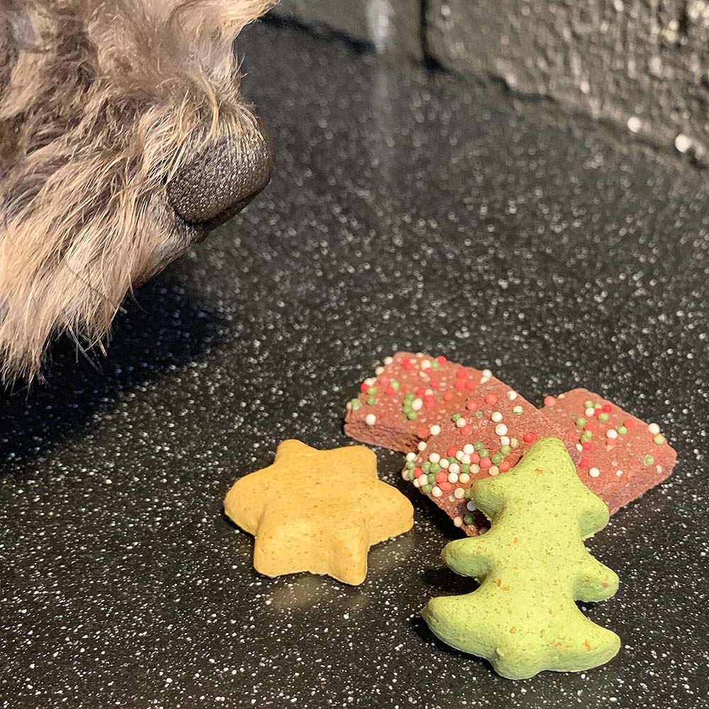 Christmas treat for the dog