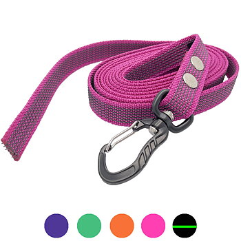 noseworkkoppel utan handtag 3 och 5 meter