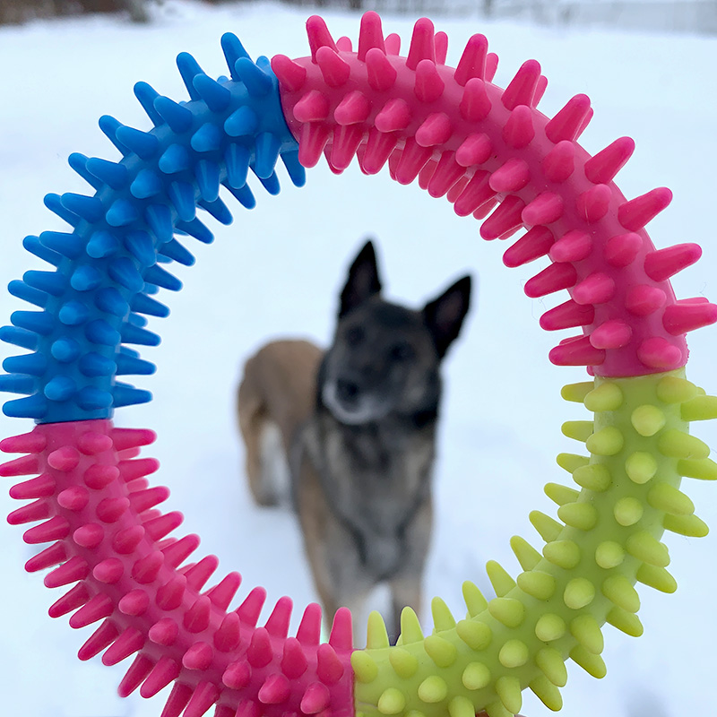 Rainbow World - Coronule - 4