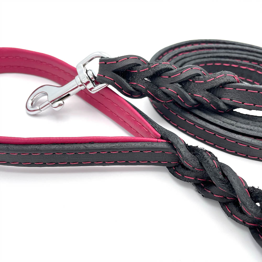 Alac leather leash - 4