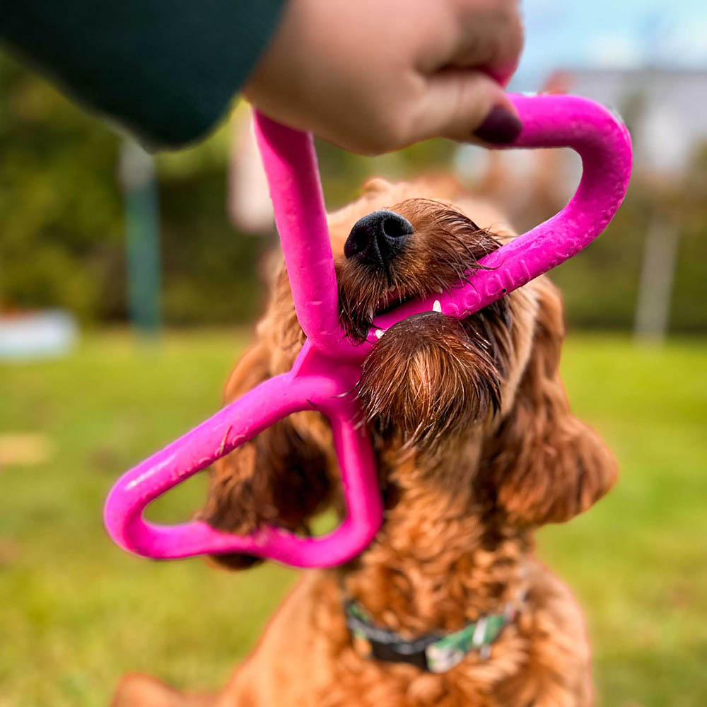 Fiboo fib the tug of toy
