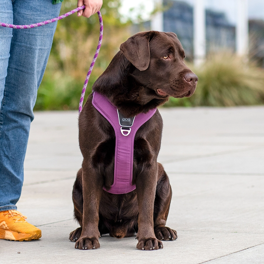 DOG Copenhagen Comfort walk pro sele 3.0 - 4