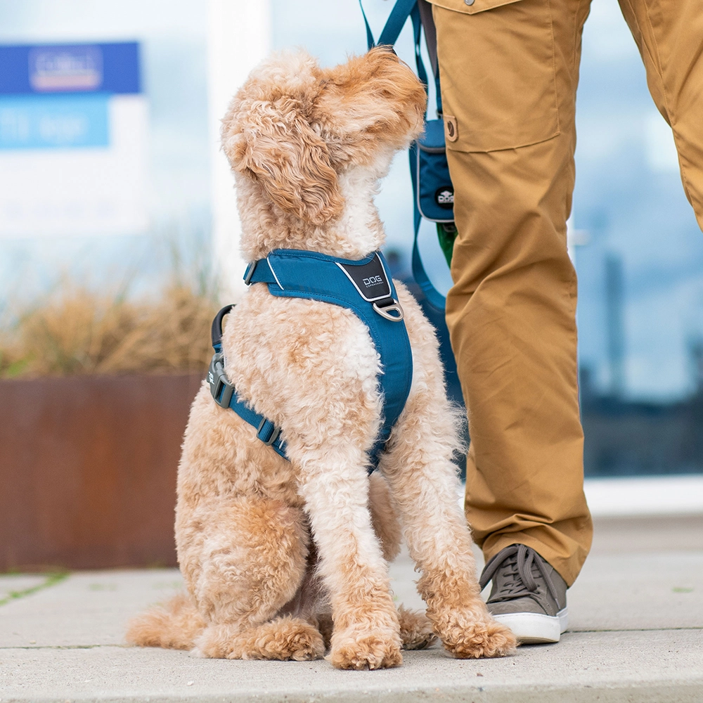 Hundsele DOG Copenhagen Comfort walk pro sele 3.0