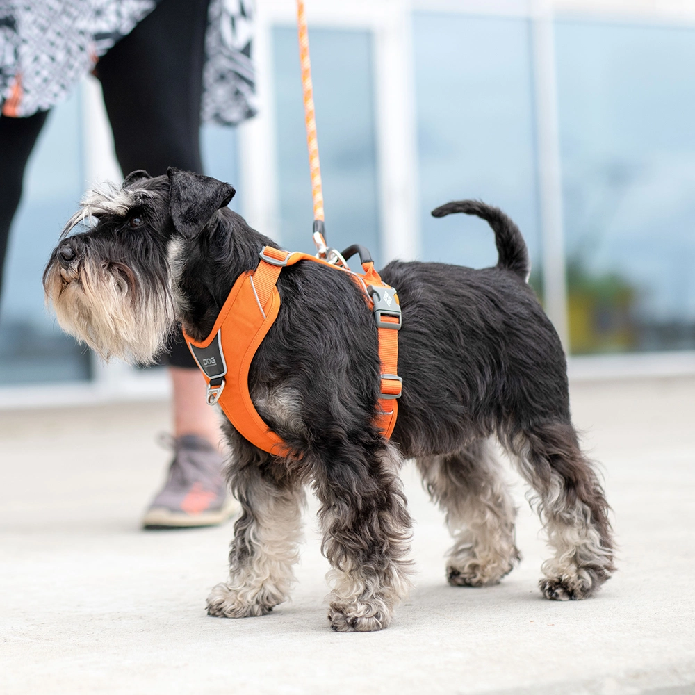 Sele till hunden Ysele DOG Copenhagen Comfort walk pro sele 3.0