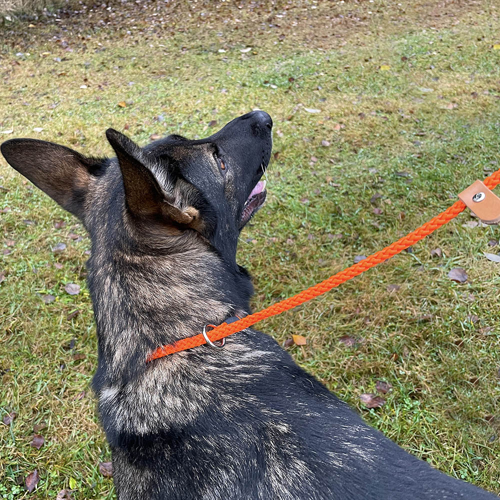 Alac rope leash - 14