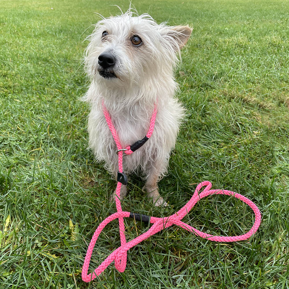 Alac rope leash - 13