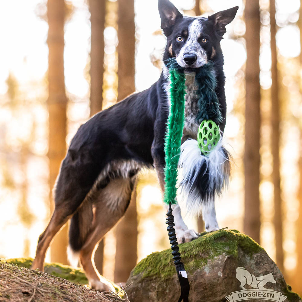Doggie-Zen hundleksak till kamplekar