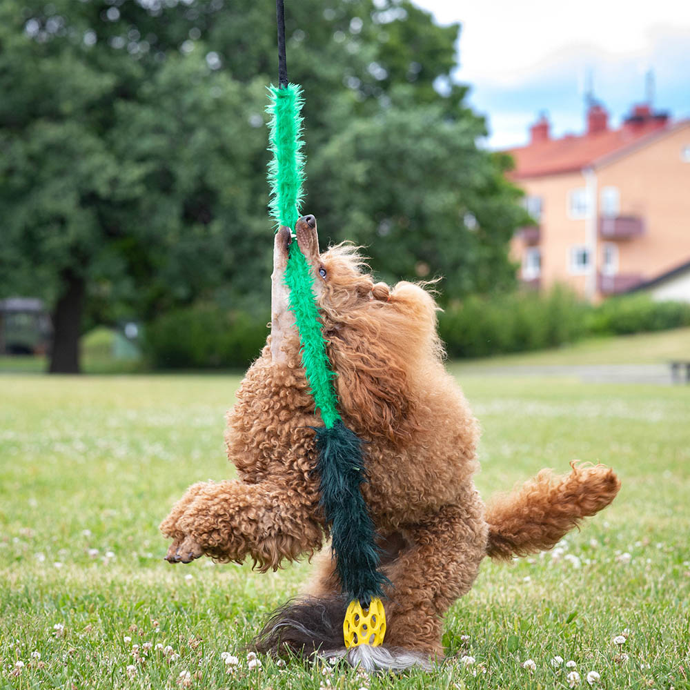 Jaktleksak med boll, fårskinn och fuskpäls till hund
