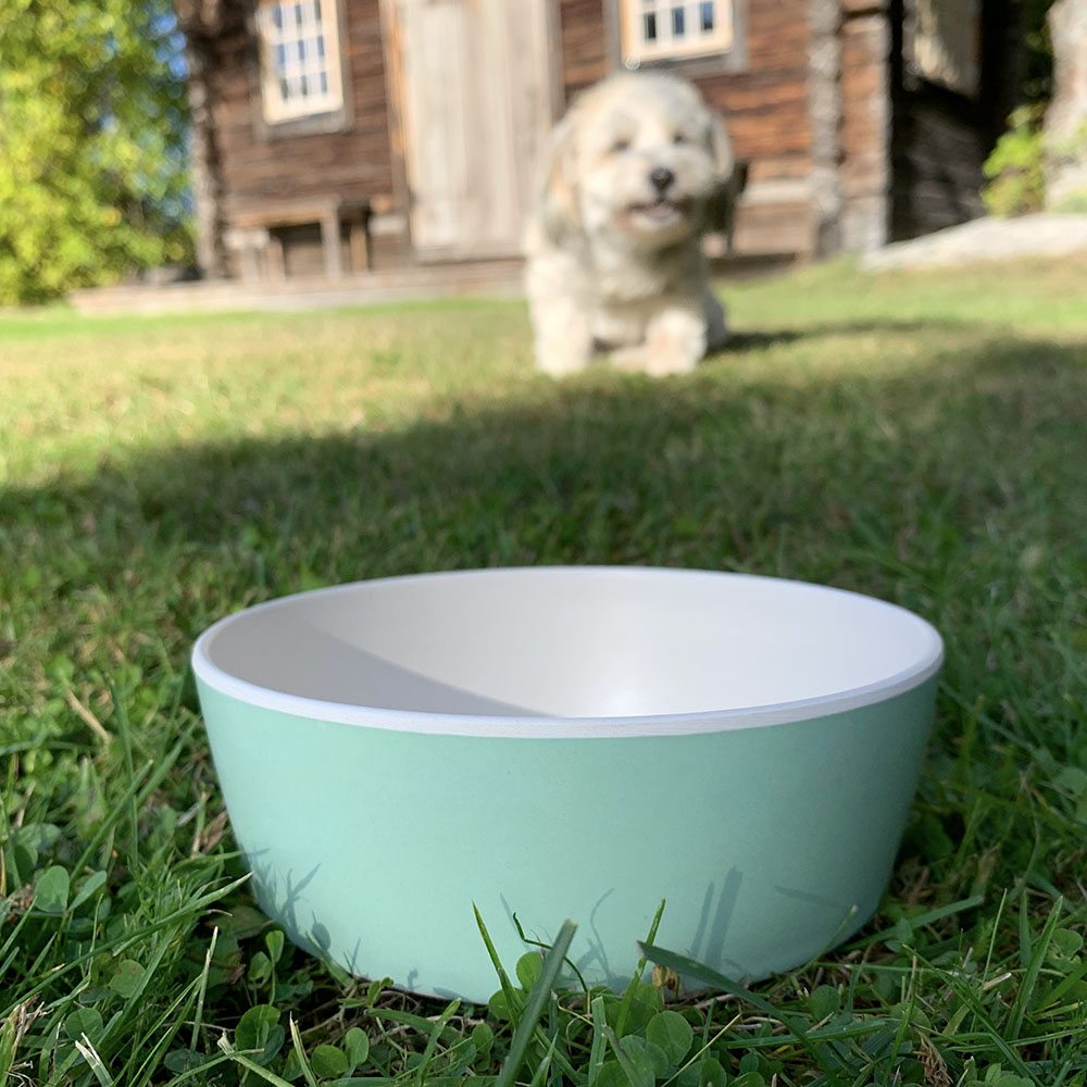 Beco ekovänlig hundskål - fresh mint - 3