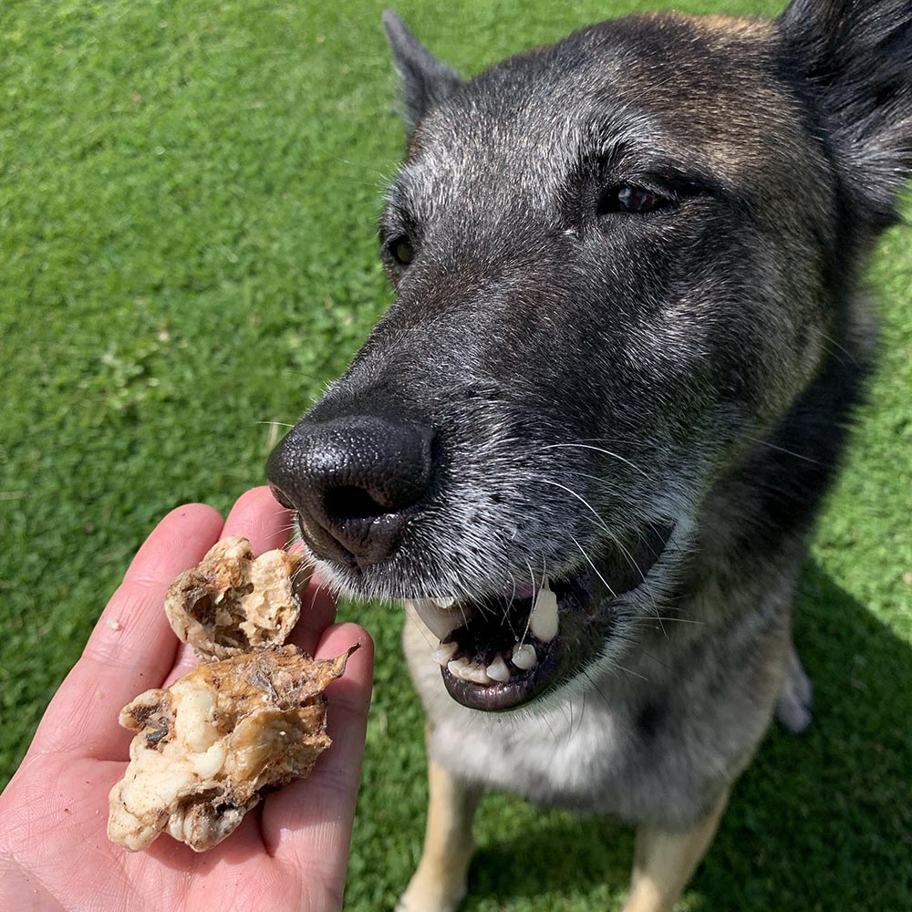 Torkad nötlunga från NomNoms kalorisnålt hundgodis