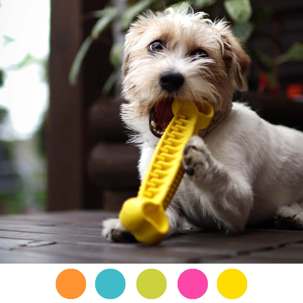 Fiboo Fiboone dental dog toy