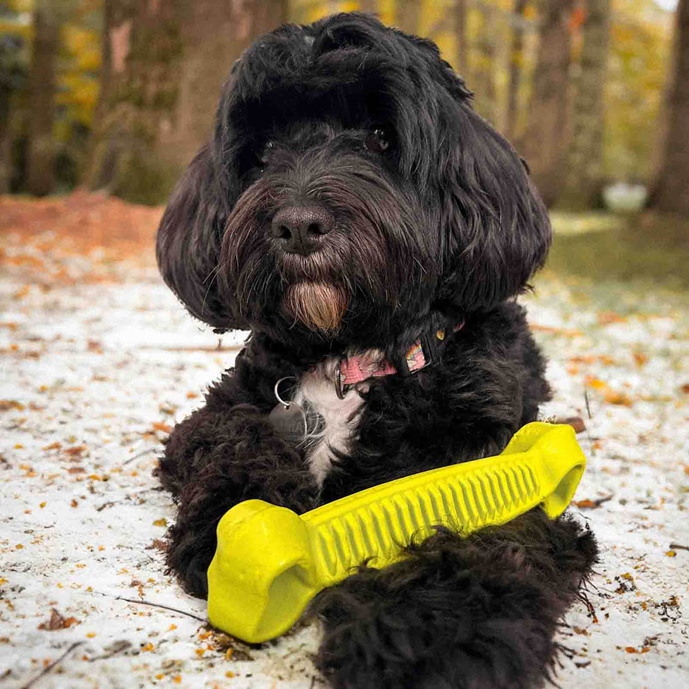 Fiboo Fiboone dental chewing dog toy