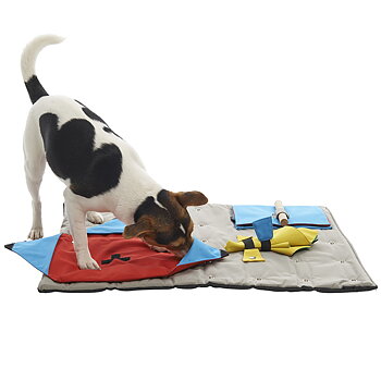 Buster activity mat fun for dogs