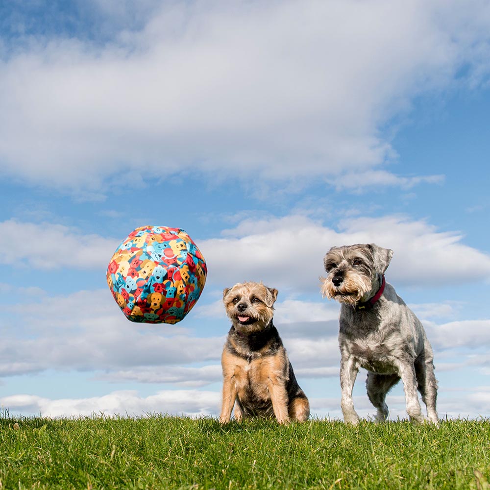 Hundleksak med en ballong inuti en tygboll 