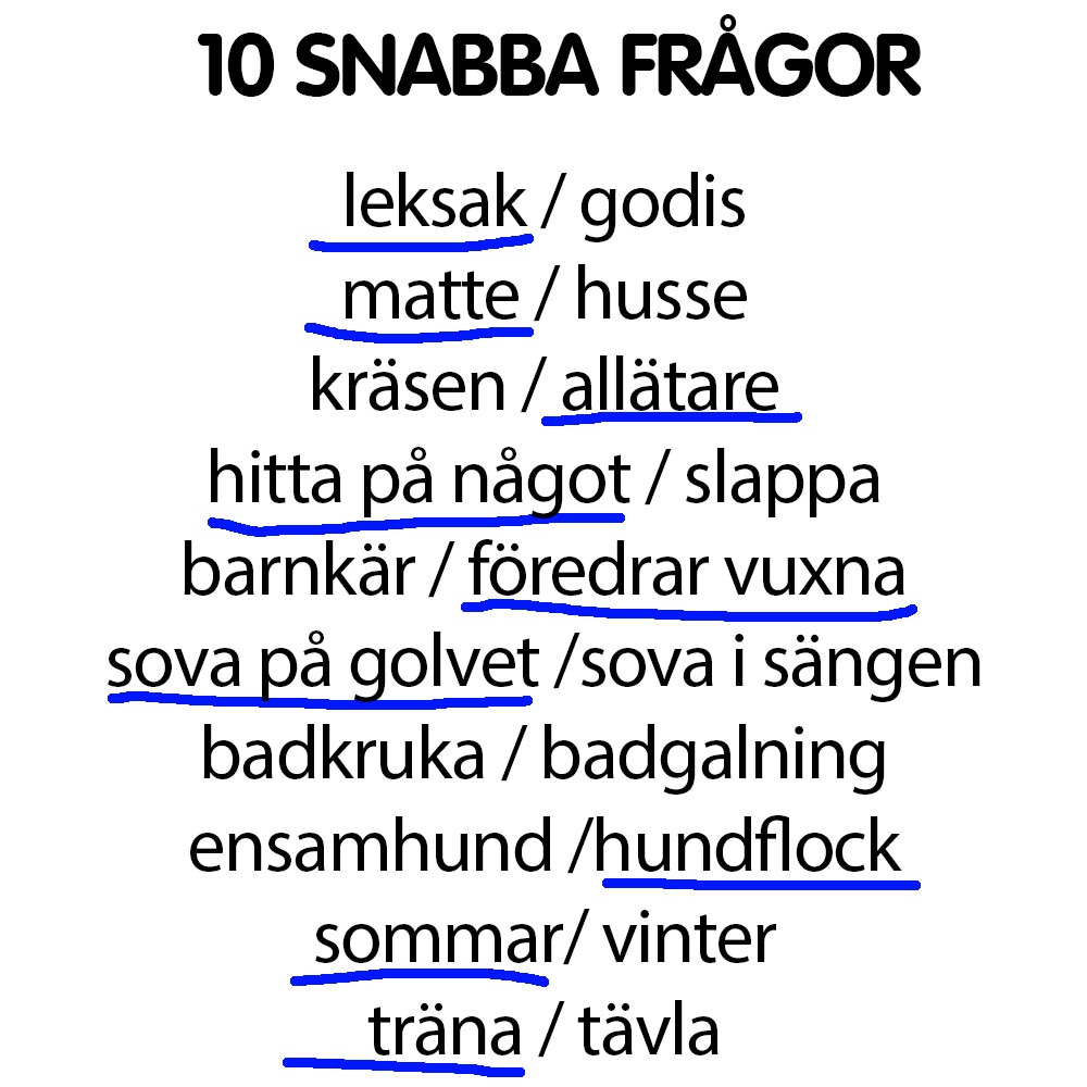 Snabba frågor Pippi