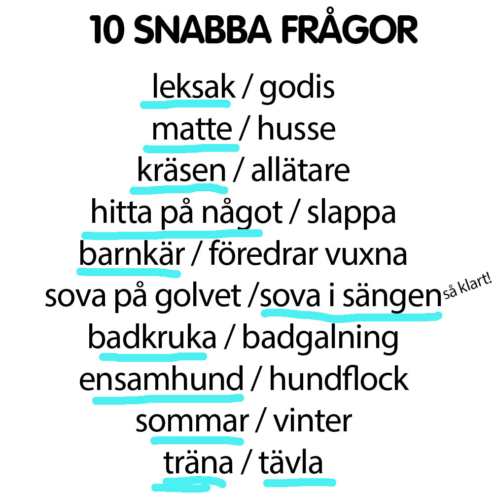 Snabba frågor Saffran