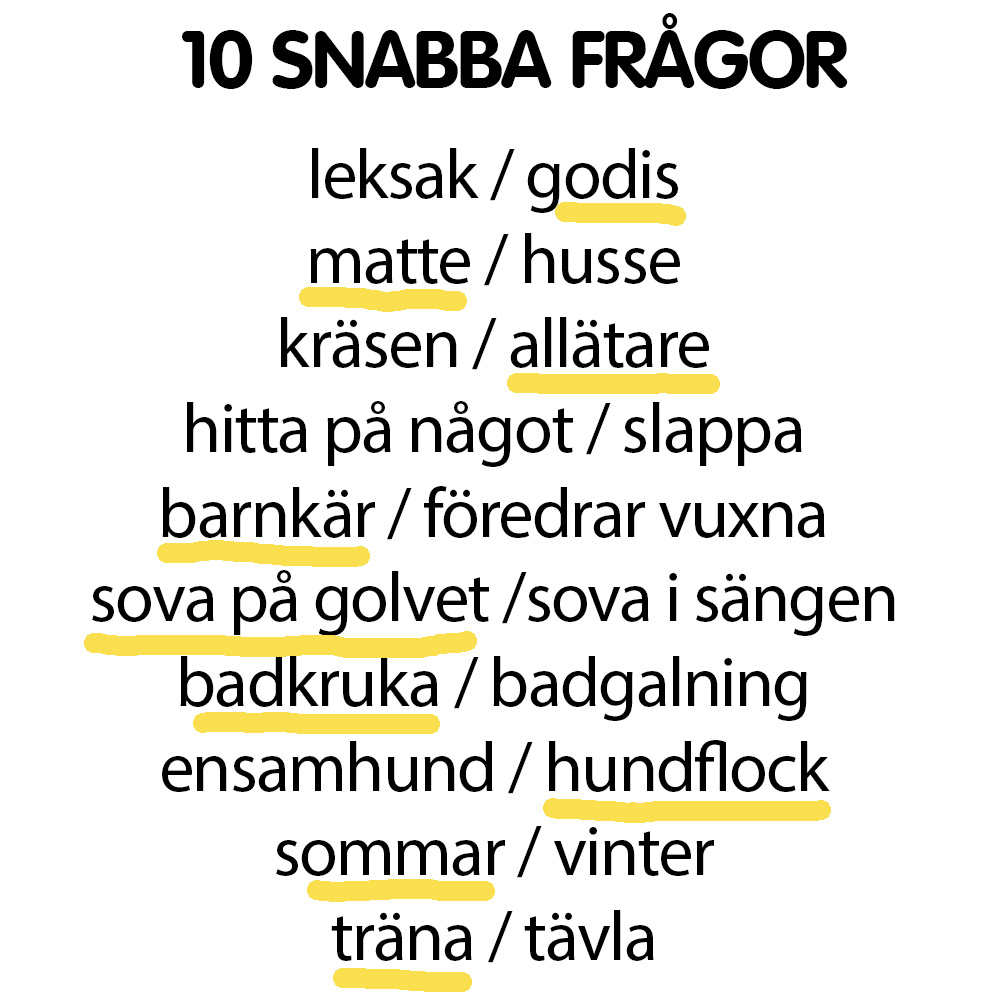 Snabba frågor taxen Rosa
