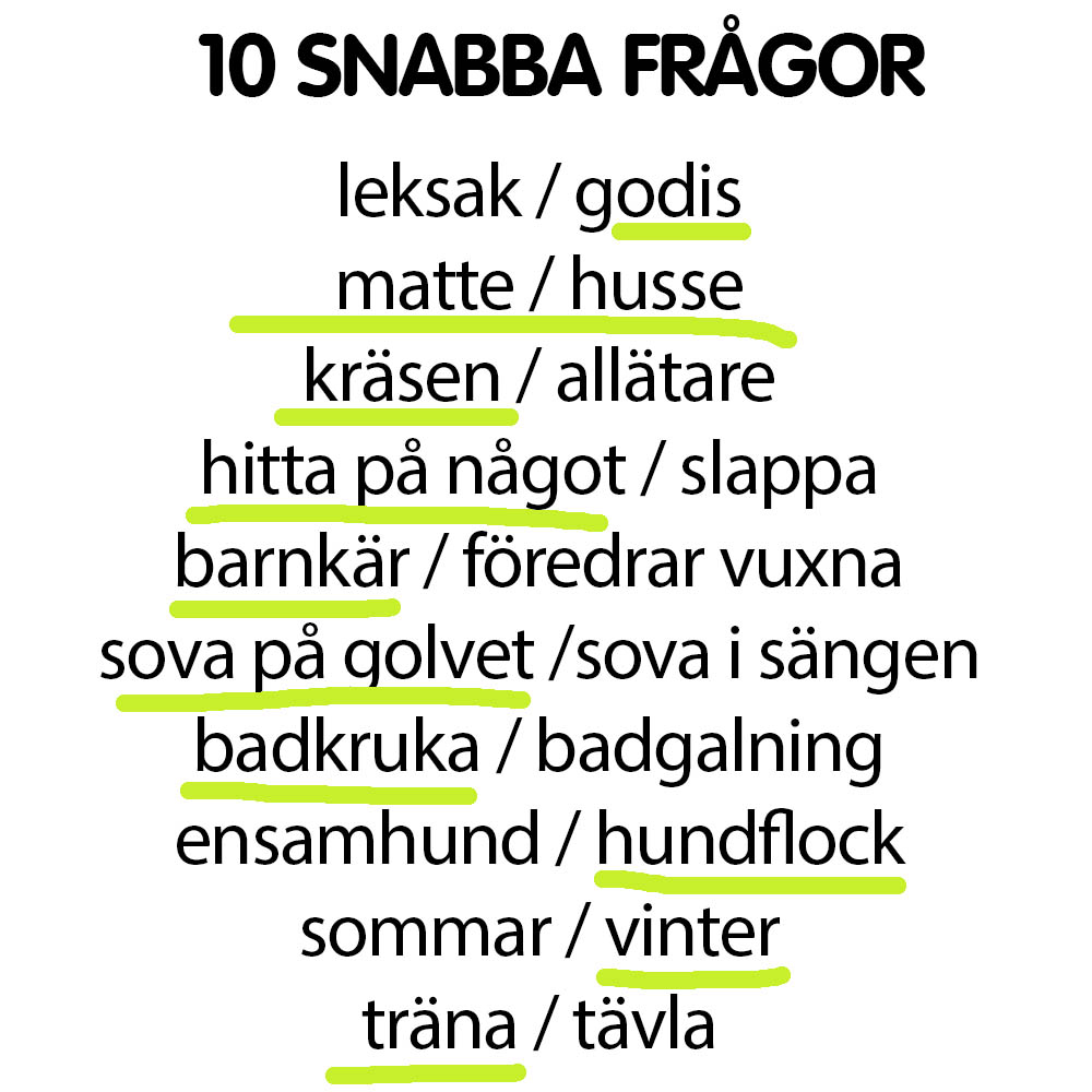 Snabba frågor Saivo