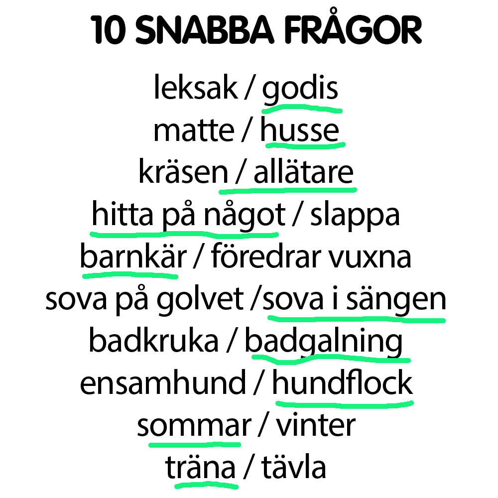 Snabba frågor Birk
