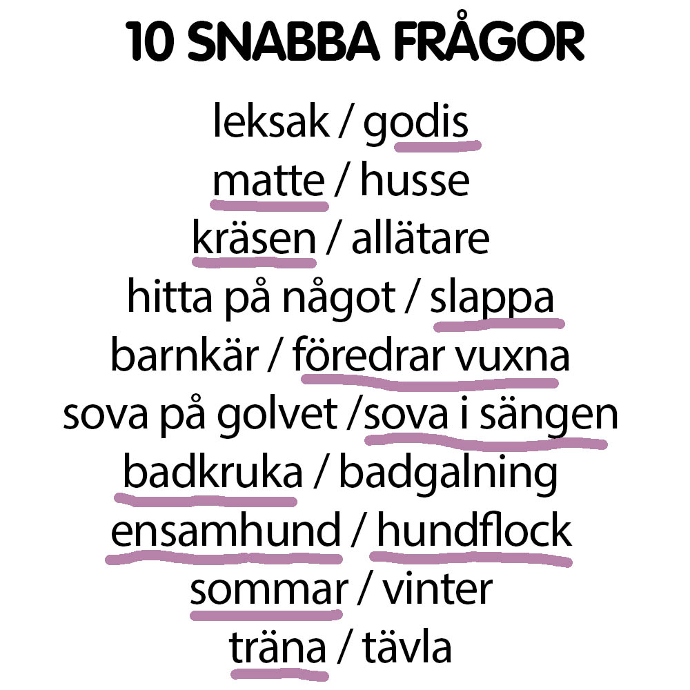 Snabba frågor Pixie