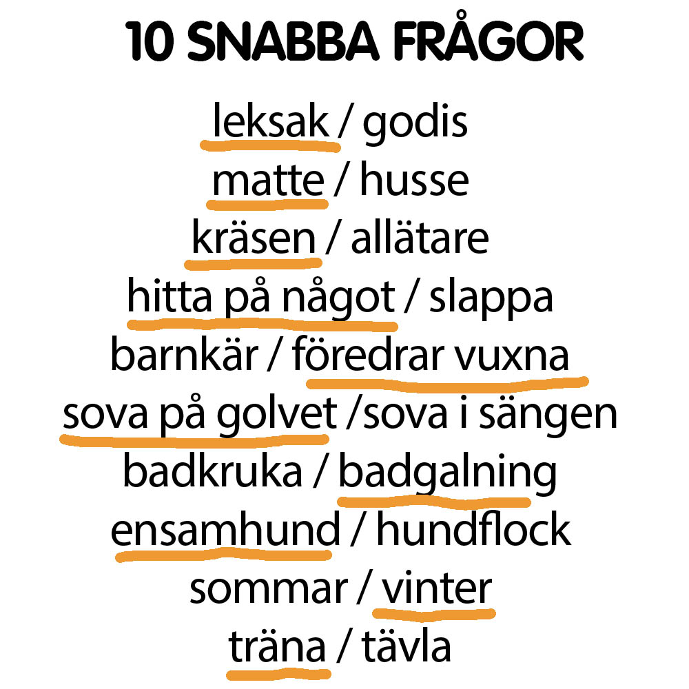 Snabba frågor Jack