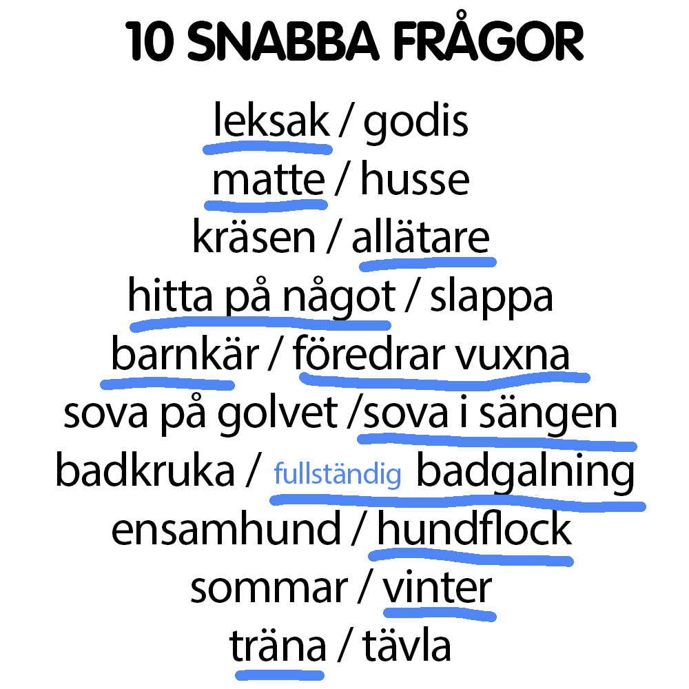 Snabba frågor Riz