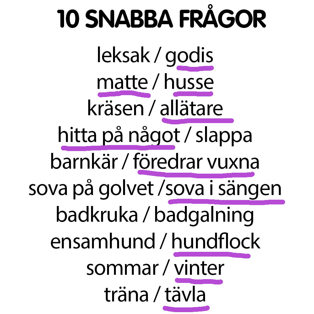 Snabba frågor till Glenn