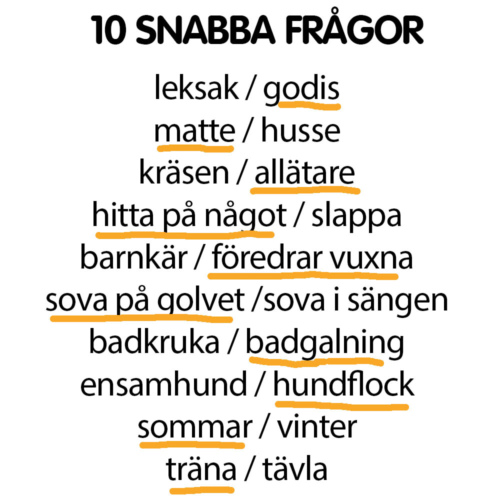 Snabba frågor Loke