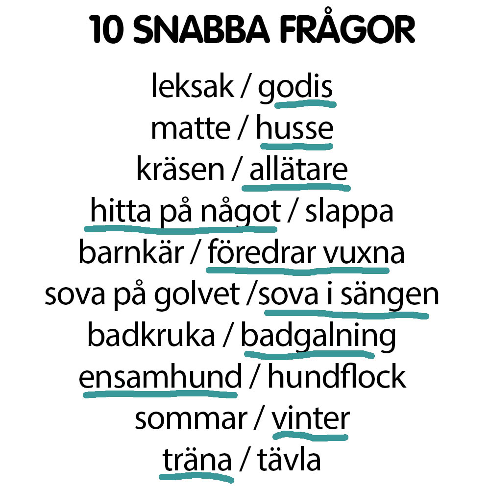Snabba frågor Yatzy