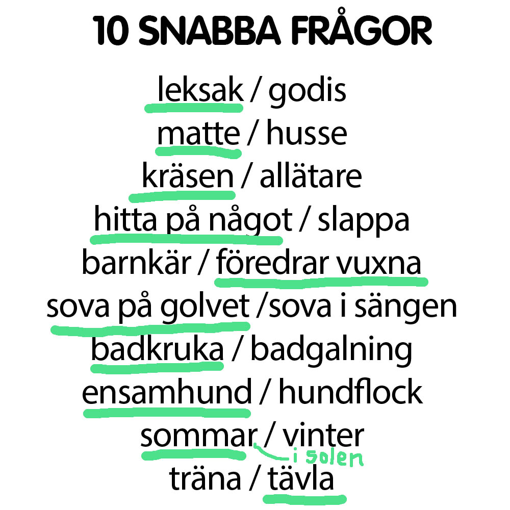 Snabba frågor Simba