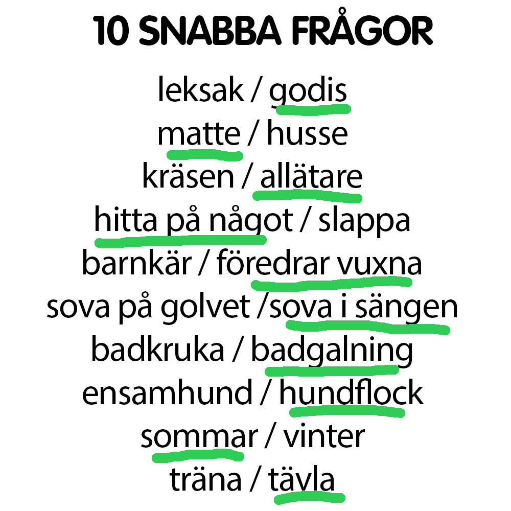 Snabba frågor Wilda