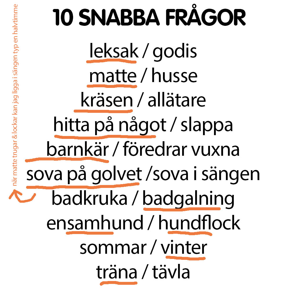 Snabba frågor Uffe