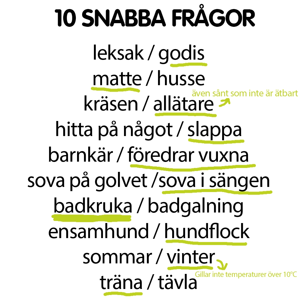 Snabba frågor Sune