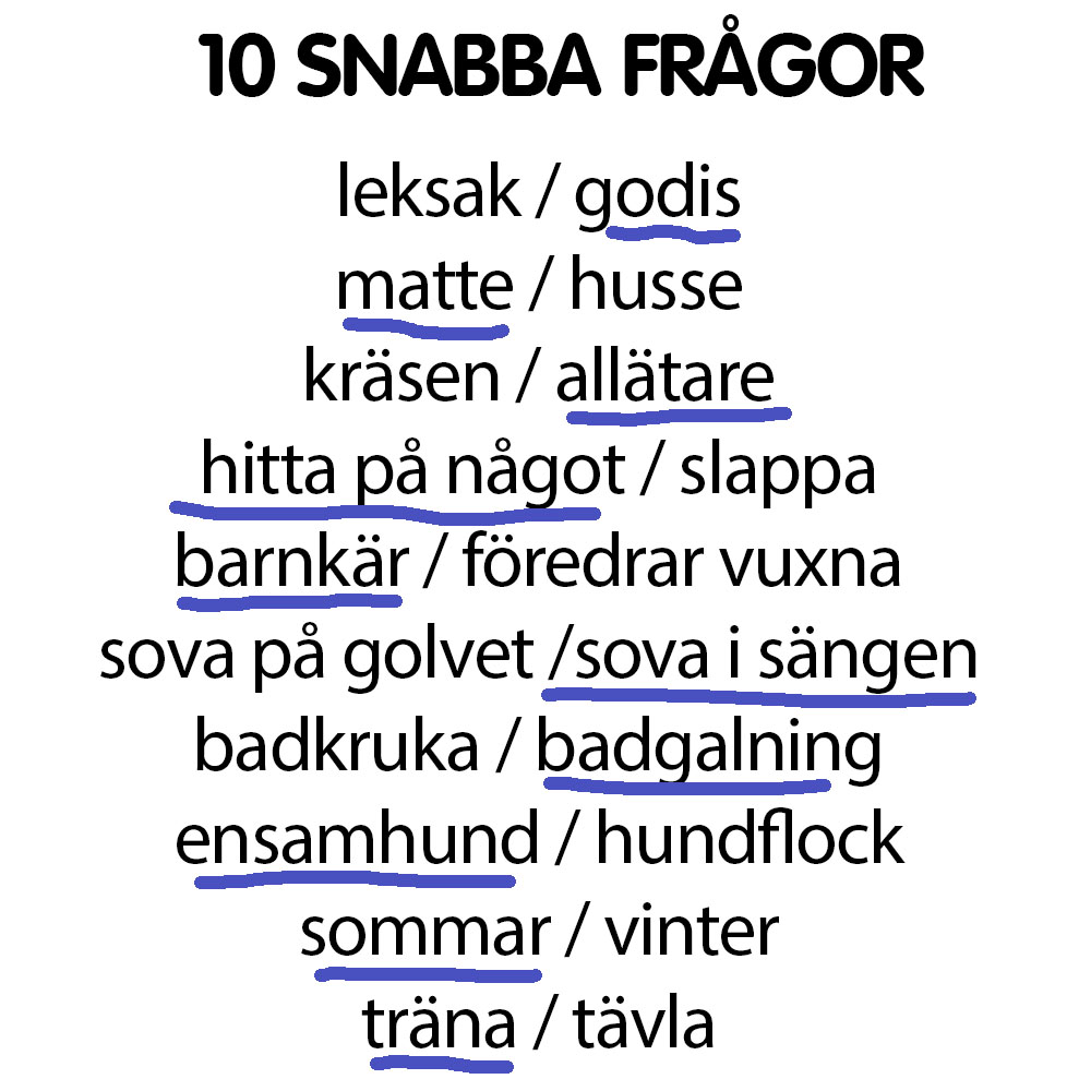 Snabba frågor taxen Max
