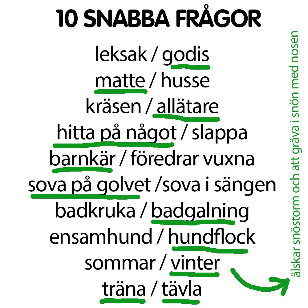 Snabba frågor Totte