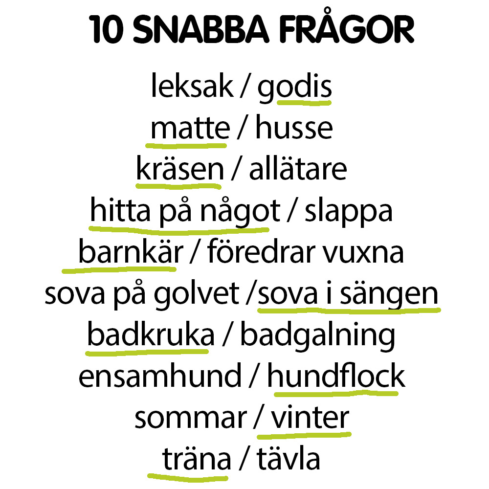 Snabba frågor Beppe