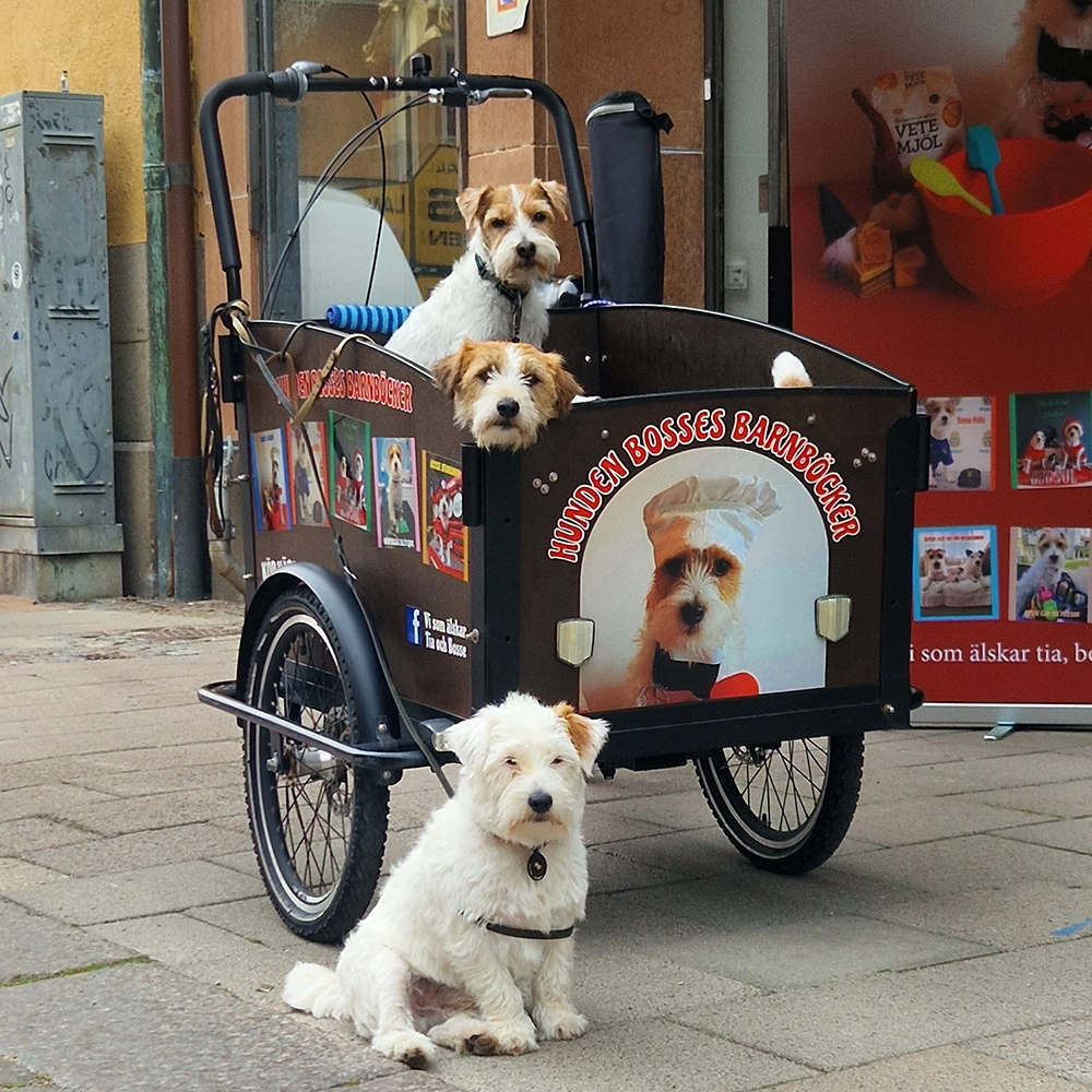 Bosse, Dante och Bizzie