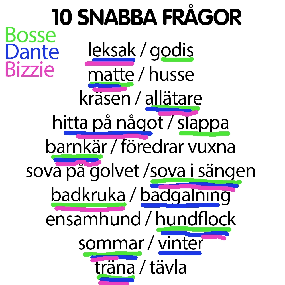 Snabba frågor Bosse, Dante och Bizzie