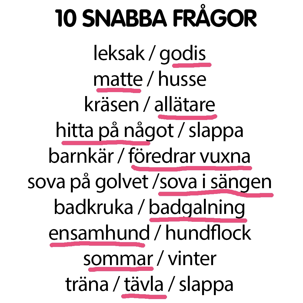 Snabba frågor till Piper