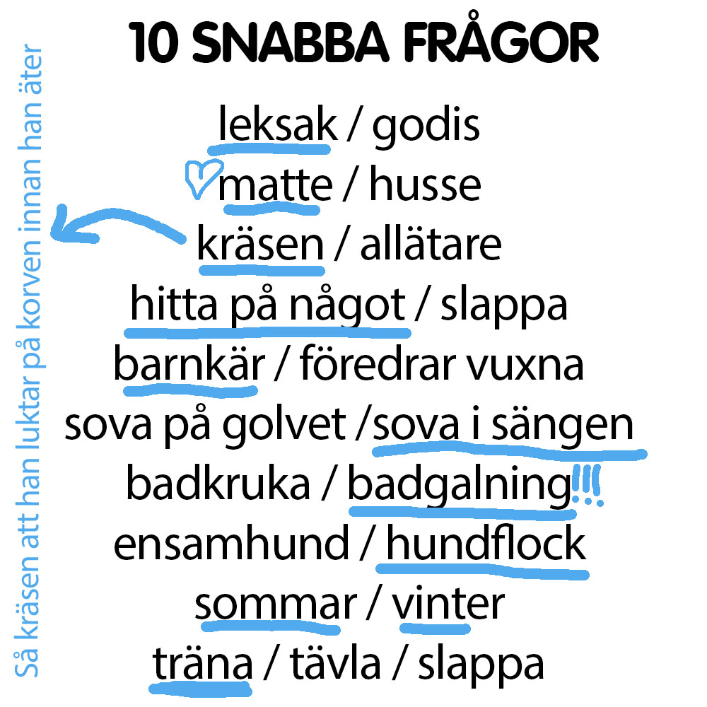 Snabba frågor till Säpo