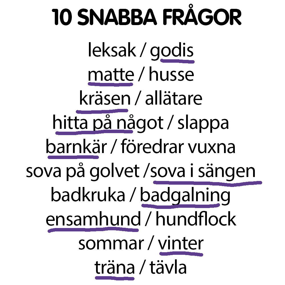 Snabba frågor Sarco