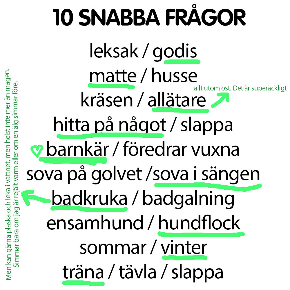Snabba frågor Otto