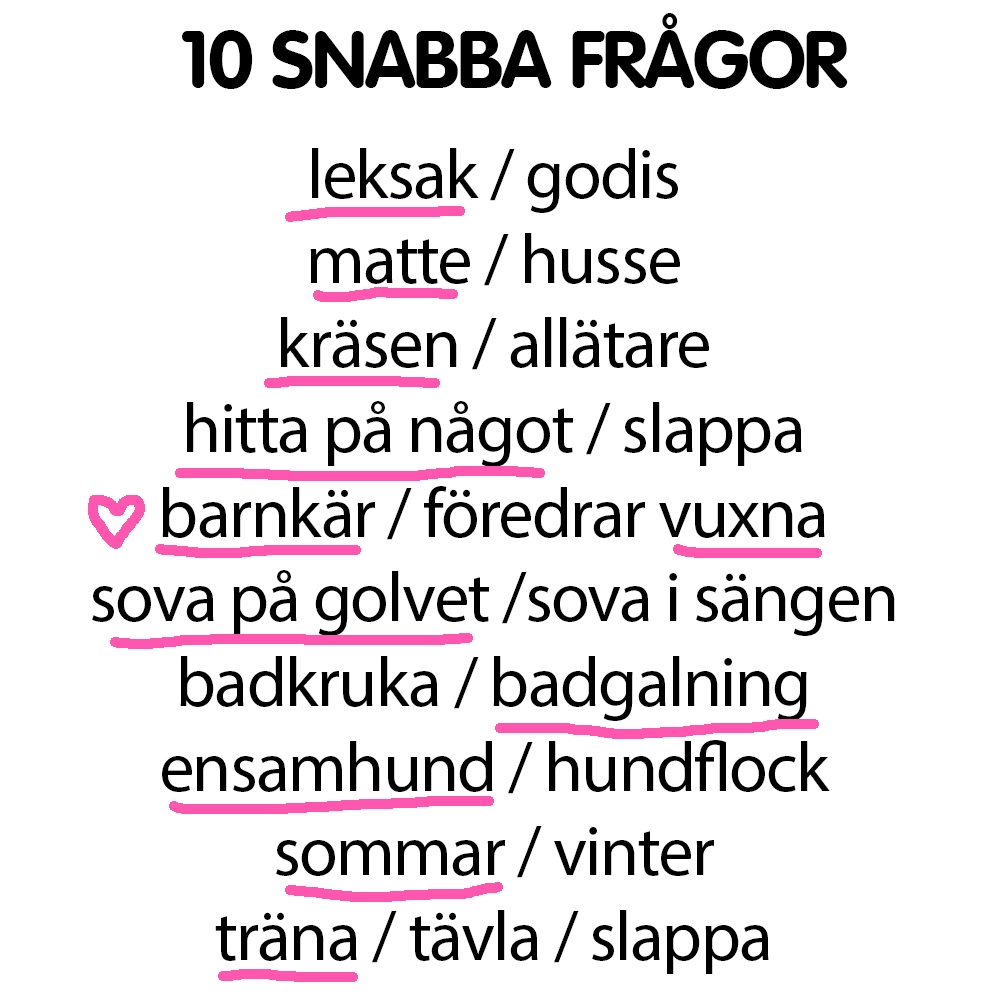 Snabba frågor till Flex