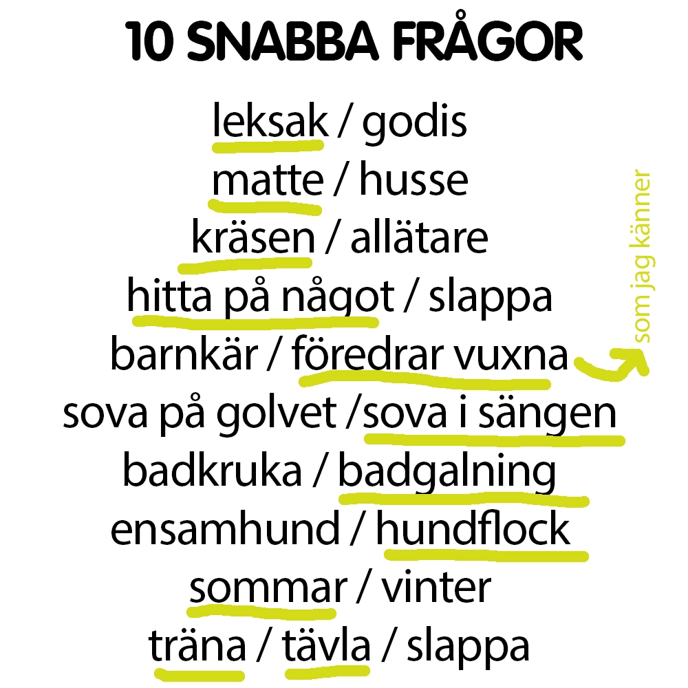 Snabba frågor till Rut