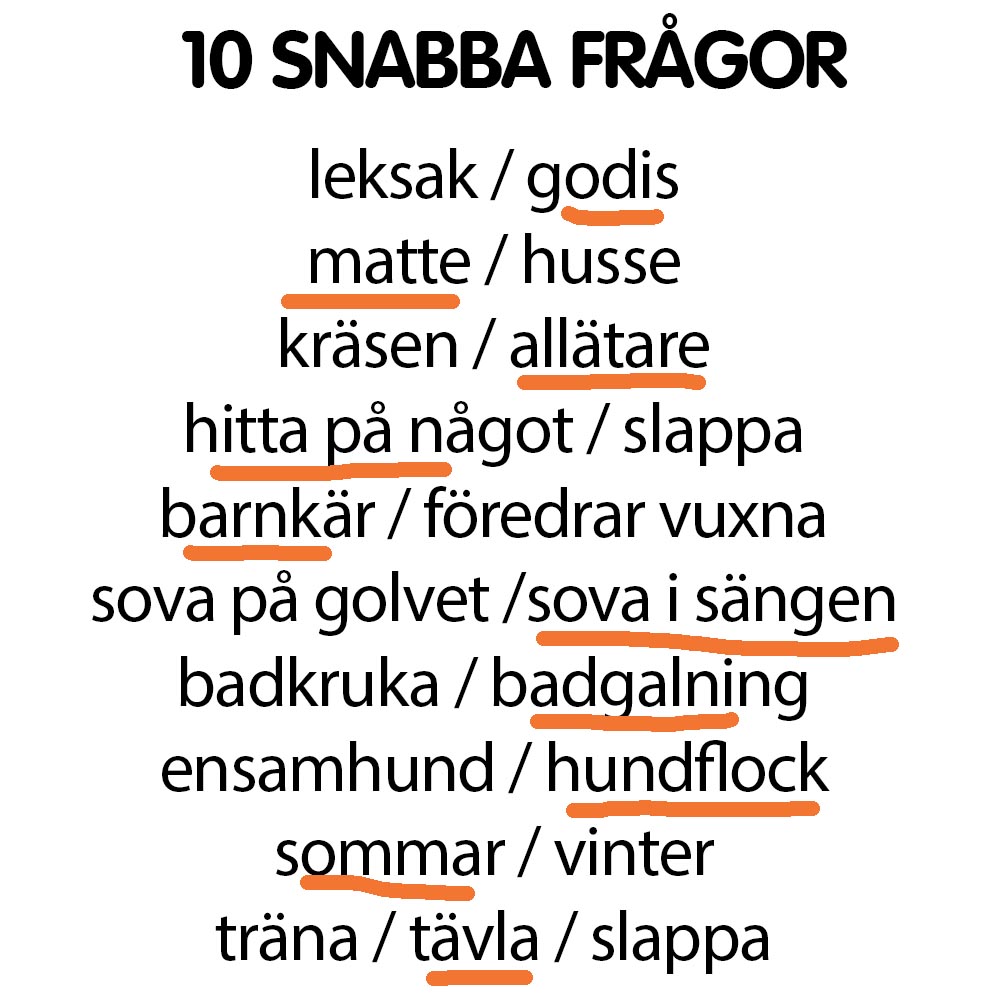 Snabba frågor Candy