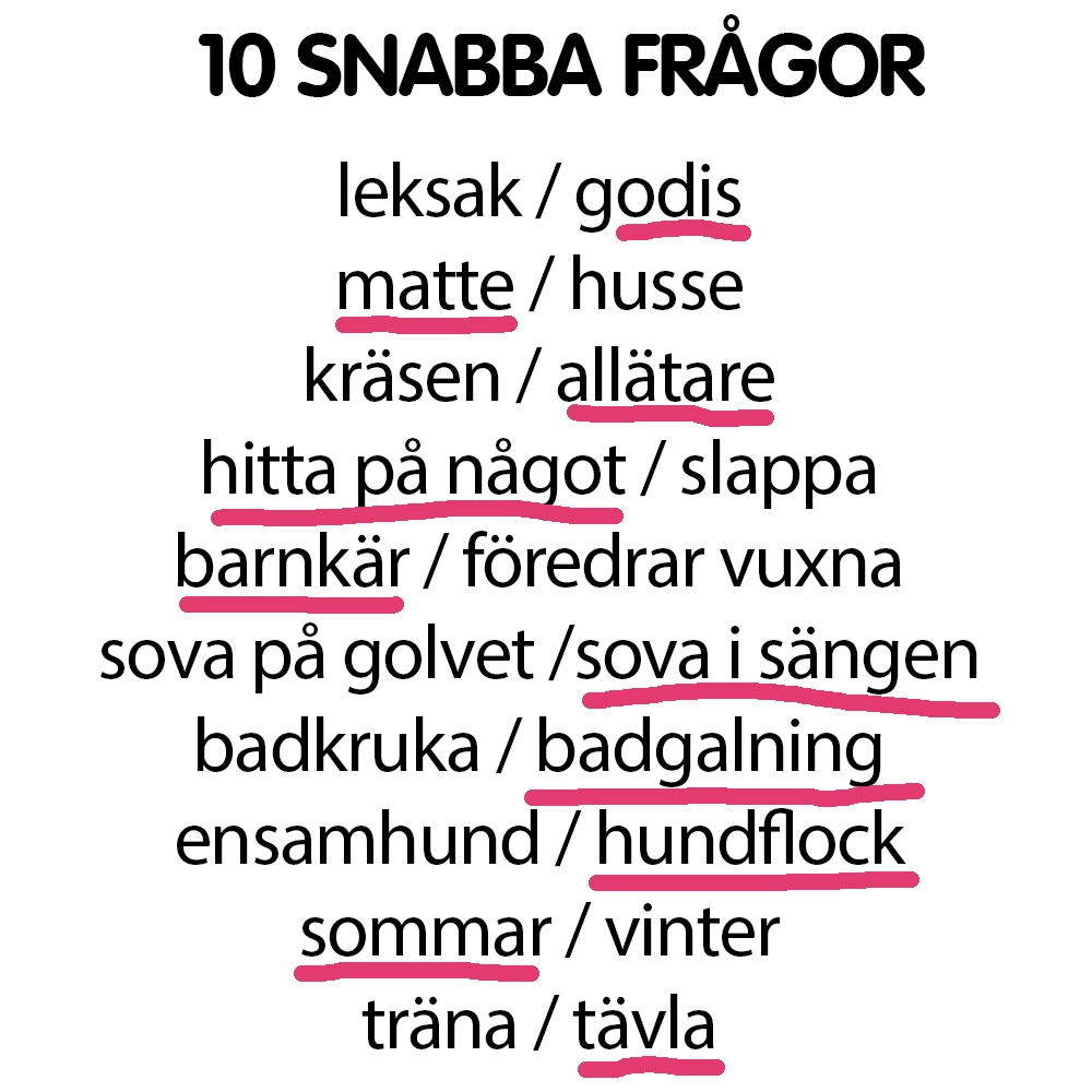 Snabba frågor Jessie